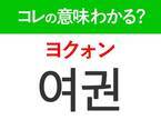 【韓国ドラマ好きは要チェック！】「여권（ヨクォン）」の意味は？コレがないと韓国に行けない！覚えておくと便利な韓国語3選