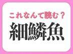 【細鱗魚】はなんて読む？ひらがな2文字の魚です！