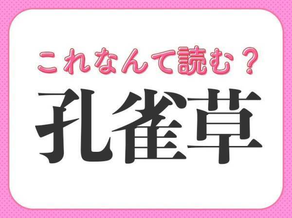 【孔雀草】はなんて読む？「くじゃくそう」ではない読み方！