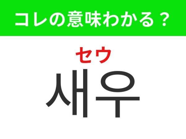 【韓国グルメ好きは要チェック！】「만두（マンドゥ）」の意味は？みんな大好き♪もちもちジューシーなアレ！覚えておくと便利な韓国語3選