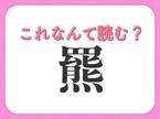 【羆】はなんて読む？ヒントは山にいる動物！