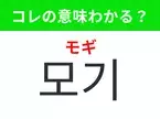 【韓国生活編】覚えておきたいあの言葉！ 「모기（モギ）」の意味は？