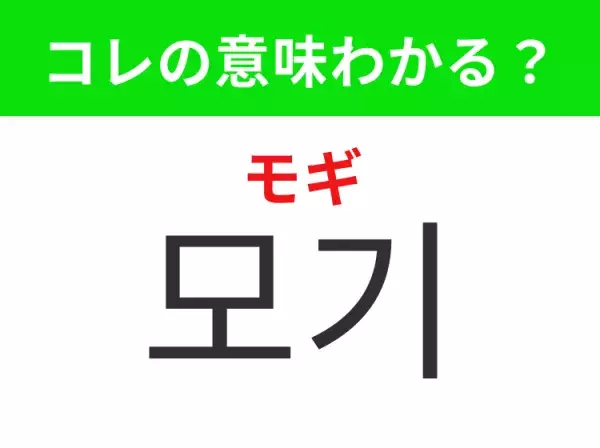 【韓国生活編】覚えておきたいあの言葉！ 「모기（モギ）」の意味は？