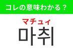 【韓国美容好きは要チェック！】「마취（マチュィ）」の意味は？痛～い美容医療には欠かせないアレ！覚えておくと便利な韓国語3選