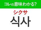 【韓国旅行に行く人は要チェック！】「식사（シクサ）」の意味は？1日3回欠かせないアレ！覚えておくと便利な韓国語3選