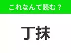 【国名クイズ】「丁抹」はなんて読む？世界最古の国旗を持つあの国！