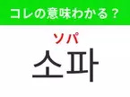 【韓国生活編】覚えておきたいあの言葉！ 「소파（ソパ）」の意味は？