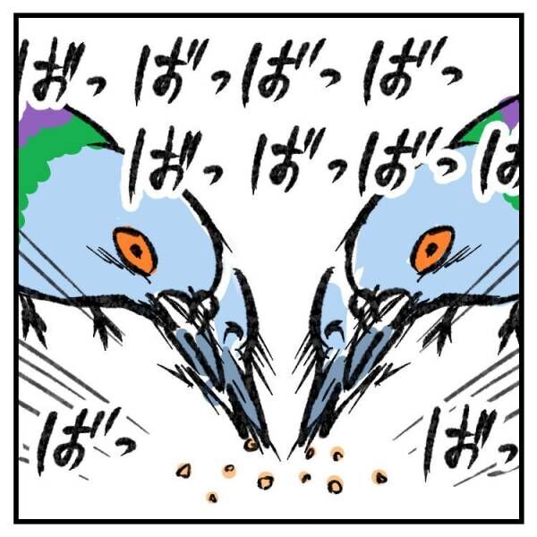 【育児マンガ】「まるで公園の鳩！？」お菓子バトルの必死な姿に思わず爆笑！