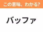 【ビジネス用語クイズ】「バッファ」の意味は？社会人なら知っておきたい言葉！