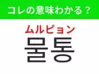 【韓国生活編】覚えておきたいあの言葉！ 「물통（ムルピョン）」の意味は？