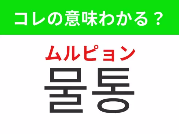 【韓国生活編】覚えておきたいあの言葉！ 「물통（ムルピョン）」の意味は？