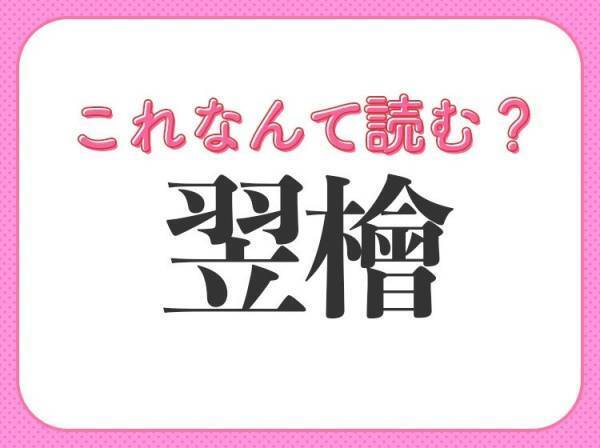 【翌檜】はなんて読む？意外と身近にある木のことです