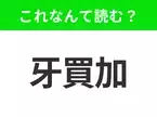 【国名クイズ】「牙買加」はなんて読む？とにかく明るいレゲエの国といえば！