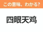 【中国語クイズ】「四眼天鸡」は何の映画タイトル？失敗ばかりの小さなニワトリの物語！