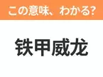 【中国語クイズ】「铁甲威龙」は何の映画タイトル？サイボーグになった警官が主人公のSFアクション作品！