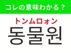 【韓国生活編】覚えておきたいあの言葉！ 「동물원（トンムロォン）」の意味は？