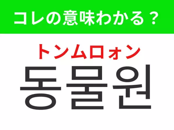 【韓国生活編】覚えておきたいあの言葉！ 「동물원（トンムロォン）」の意味は？