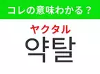 【韓国ドラマ編】覚えておきたいあの言葉！ 「약탈（ヤクタル）」の意味は？