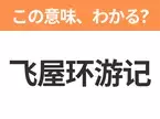 【中国語クイズ】「飞屋环游记」は何の映画タイトル？78歳のおじいさんの大冒険を描いた物語！