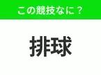 【競技名クイズ】「排球」はなんのスポーツ？漫画作品も人気の球技！