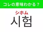 【韓国生活編】覚えておきたいあの言葉！ 「시험（シホム）」の意味は？