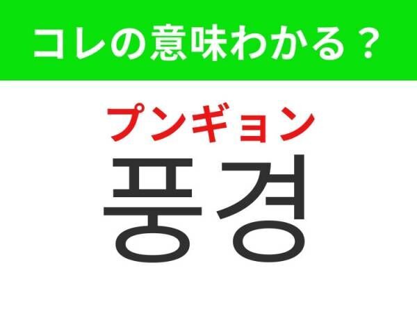 【韓国旅行に行く人は要チェック！】「선물（ソンムル）」の意味は？もらったらうれしいアレ！覚えておくと便利な韓国語3選