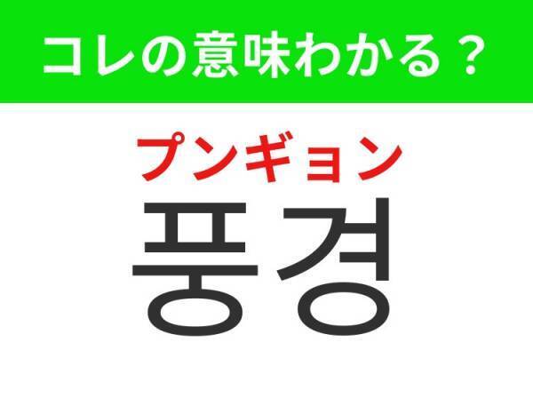 【韓国旅行に行く人は要チェック！】「선물（ソンムル）」の意味は？もらったらうれしいアレ！覚えておくと便利な韓国語3選