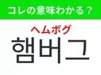 【韓国グルメ編】覚えておきたいあの言葉！「햄버그（ヘムボグ）」の意味は？