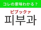 【韓国美容編】覚えておきたいあの言葉！「피부과（ピブックァ）」の意味は？