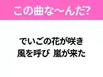 【ヒット曲クイズ】歌詞「でいごの花が咲き 風を呼び 嵐が来た」で有名な曲は？沖縄を感じるあの歌！