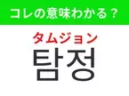 【韓国ドラマ編】覚えておきたいあの言葉！「탐정（タムジョン）」の意味は？