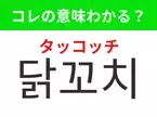 【韓国グルメ編】覚えておきたいあの言葉！「닭꼬치（タッコッチ）」の意味は？