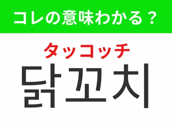 【韓国グルメ編】覚えておきたいあの言葉！「닭꼬치（タッコッチ）」の意味は？