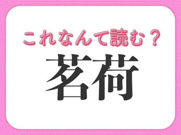 【茗荷】はなんて読む？独特の香りがおいしい薬味