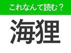 【海狸】はなんて読む？水辺に住む動物の名前！