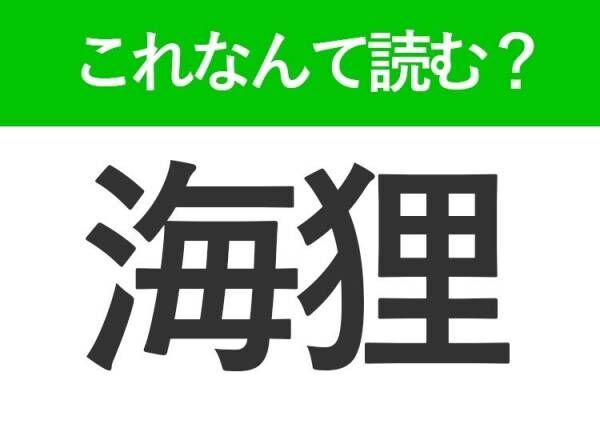 【海狸】はなんて読む？水辺に住む動物の名前！