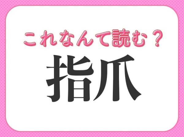 【指爪】はなんて読む？意外と知らない「爪」の音読み