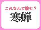 【寒蝉】はなんて読む？有名な虫の名前！