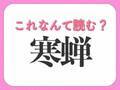 【寒蝉】はなんて読む？有名な虫の名前！