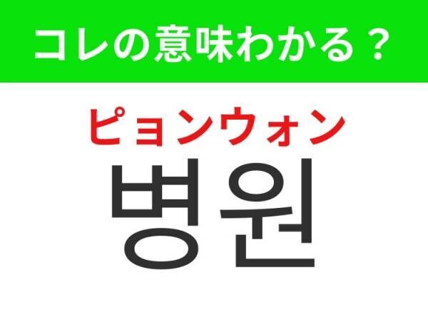 【韓国旅行に行く人は要チェック！】「와이파이（ワイパイ）」の意味は？旅先でも欠かせないアレ！覚えておくと便利な韓国語3選