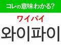 【韓国旅行に行く人は要チェック！】「와이파이（ワイパイ）」の意味は？旅先でも欠かせないアレ！覚えておくと便利な韓国語3選