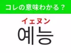 【韓国生活編】覚えておきたいあの言葉！「예능（イェヌン）」の意味は？