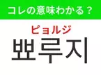 【韓国美容編】覚えておきたいあの言葉！「뾰루지（ピョルジ）」の意味は？