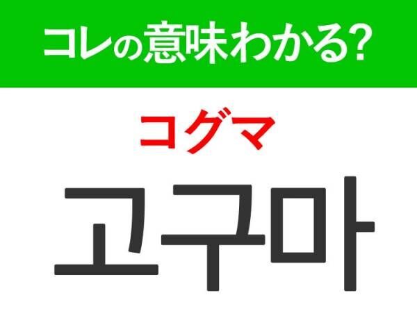 【韓国グルメ好きは要チェック！】「죽（チュク）」の意味は？具合が悪いときに食べたなるくアレ！覚えておくと便利な韓国語3選