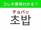 【韓国グルメ編】覚えておきたいあの言葉！「초밥（チョバッ）」の意味は？