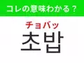 【韓国グルメ編】覚えておきたいあの言葉！「초밥（チョバッ）」の意味は？