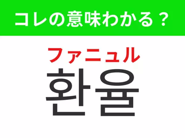 【韓国生活編】覚えておきたいあの言葉！「환율（ファニュル）」の意味は？