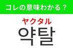 【韓国ドラマ好きは要チェック！】 「약탈（ヤクタル）」の意味は？ドロドロの恋愛ドラマといえば！覚えておくと便利な韓国語3選