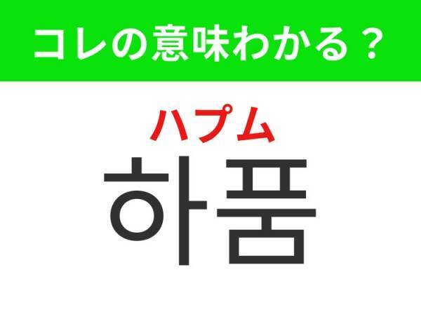 【韓国旅行に行く人は要チェック！】「재채기（チェチェギ）」の意味は？花粉の時期は特につら～いあの生理現象！覚えておくと便利な韓国語3選