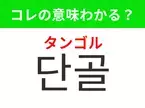 【韓国生活編】覚えておきたいあの言葉！「 단골（ タンゴル）」の意味は？